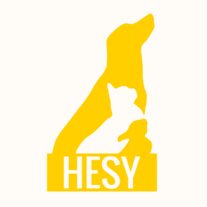 HESY